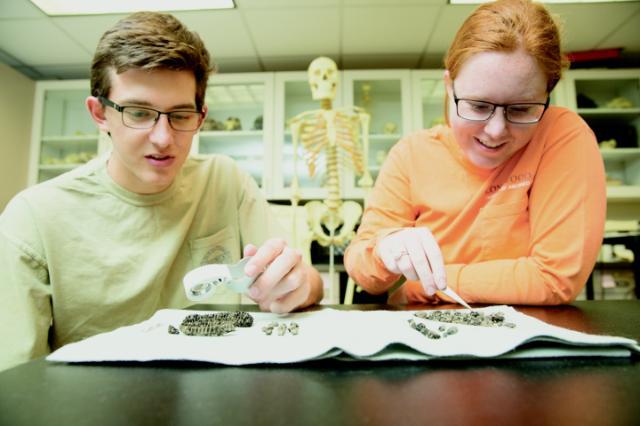 Archaeology students