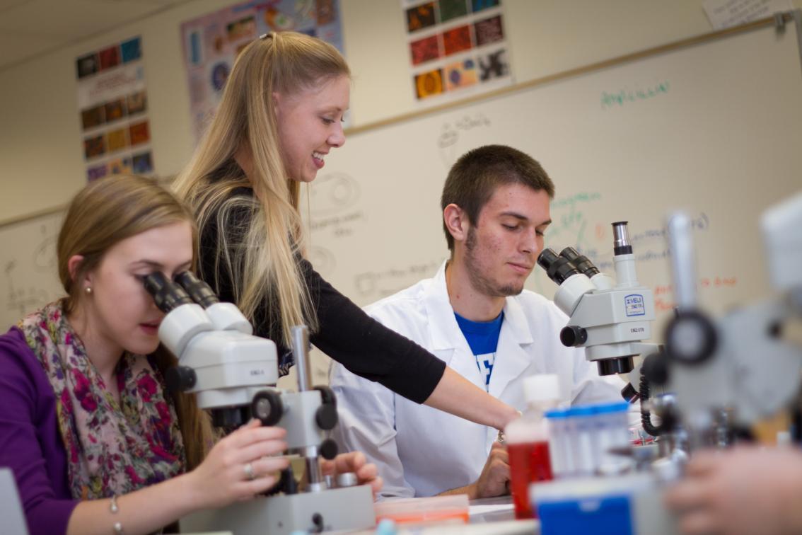 Dr. Amorette Barber works in the lab with students